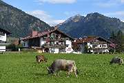 Best Western Plus Hotel Alpenhof - Exterior