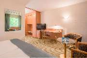 Best Western Plus Hotel Fellbach-Stuttgart - Guest room