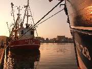 Best Western Plus Theodor Storm Hotel - harbor