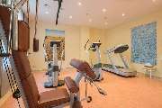 Best Western Premier Castanea Resort Hotel - Health club  fitness center  gym