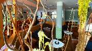 Best Western Spreewald - Lobby