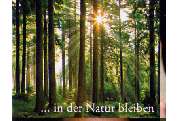 Bestattung Herold - GALLERY