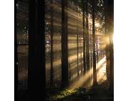 Bestattung Höhn - GALLERY