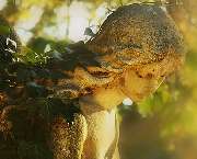 Bestattung Schmidbauer e.K. - GALLERY