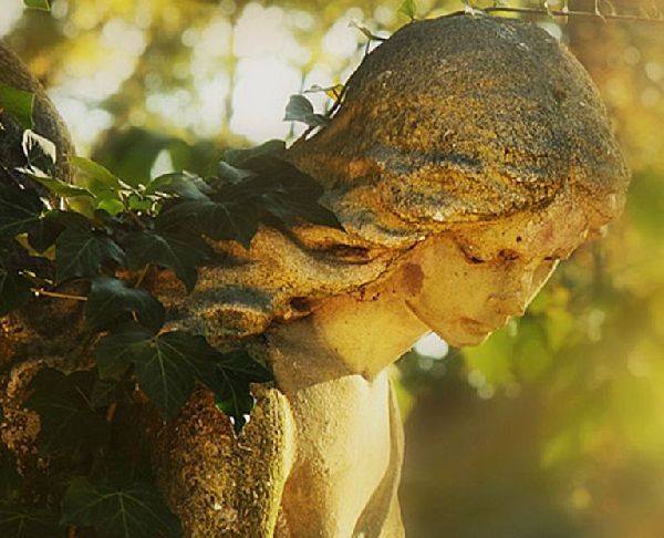 Bestattung Schmidbauer e.K. - GALLERY