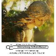 Bestattung Schmidbauer e.K. - LOGO