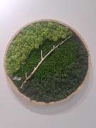 Bestattungen Braun e. K. - BRAUN & SCHMITT - 6