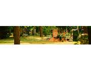 Bestattungen Friede - GALLERY