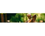 Bestattungen Friede - GALLERY