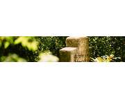 Bestattungen Friede - GALLERY