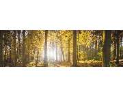 Bestattungen Kleier - GALLERY