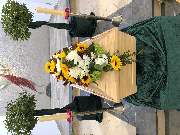 Bestattungen Rohr - GALLERY