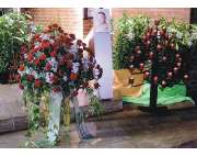 Bestattungen Schneider - GALLERY