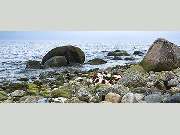 Bestattungen Schreyer GmbH - GALLERY