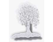 Bestattungsanstalt Selb - GALLERY