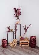 Bestattungshaus Frank - GALLERY