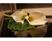 Bestattungshaus Freiberg - GALLERY