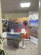 Bestattungshaus Jansen - GALLERY