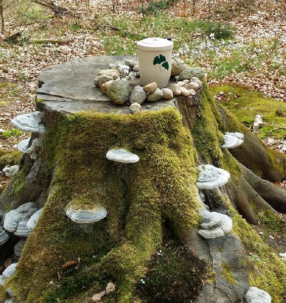 Bestattungshaus Malchow Uwe Schwarz - 6