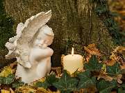 Bestattungshaus Thorsten Weisenstein - GALLERY