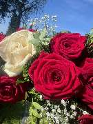 Bestattungsinstitut B. Schmid GmbH - GALLERY