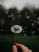 Bestattungsinstitut Stallmann Inhaber Andreas Sommer e.K. - GALLERY