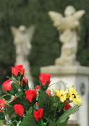 Bestattungsinstitut Wellner - 3