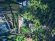 BetonBotanik Inh. Sebastian Ebert - GALLERY