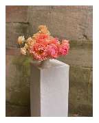 Bev Blooms - GALLERY