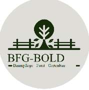 BFG Bold - 1