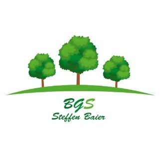 BGS Steffen Baier - LOGO