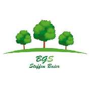 BGS Steffen Baier - LOGO