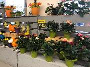 BHS Bauzentrum bauSpezi - GALLERY