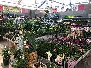 BHS Bauzentrum bauSpezi - GALLERY