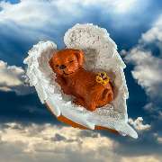 Bianca s Handmade - GALLERY