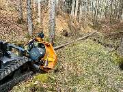 BICHLMEIER Landschaftspflege - GALLERY