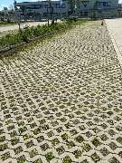 BICHLMEIER Landschaftspflege - GALLERY