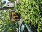 Biduch rund ums Haus - 24