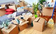 biermann-organization
