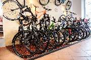 Bike Performance Dresden - GALLERY