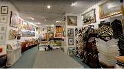 Bilder Graf Inh. René Graf - GALLERY