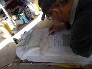 Bildhaueratelier Beck - GALLERY