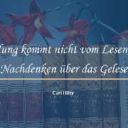 Bildungslektorat - GALLERY