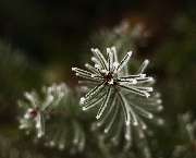 bildzauber.info - GALLERY