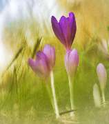 bildzauber.info - GALLERY