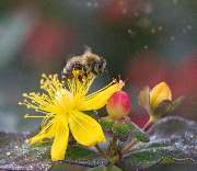 bildzauber.info - GALLERY