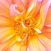 bildzauber.info - GALLERY