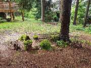 Billing’s Waldhaus - GALLERY