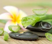 Bio-Cosmetik - GALLERY