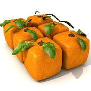 Bio-Gründer Wettbewerb - GALLERY